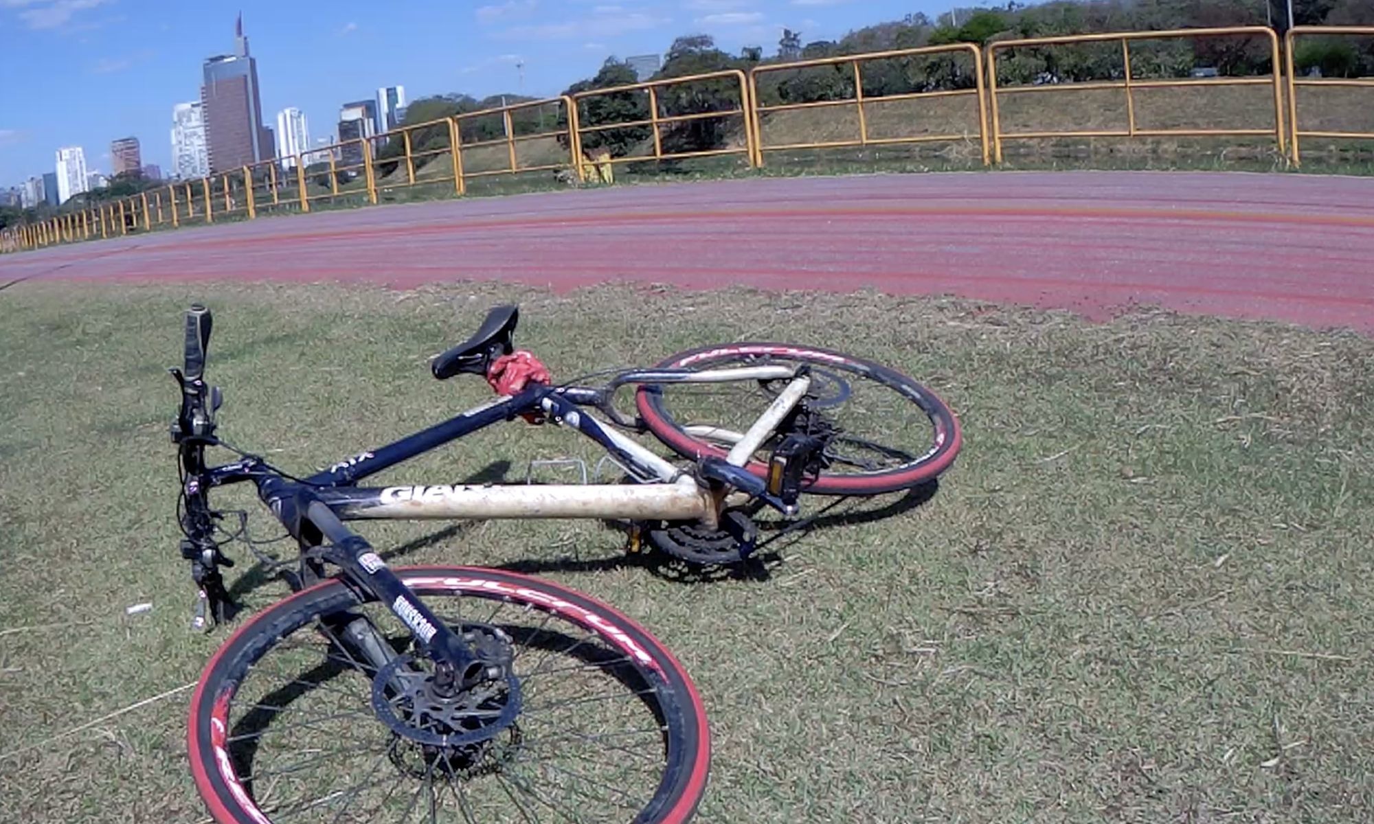 Bike - Ciclovia Marginal Pinheiros. Giant porquinha